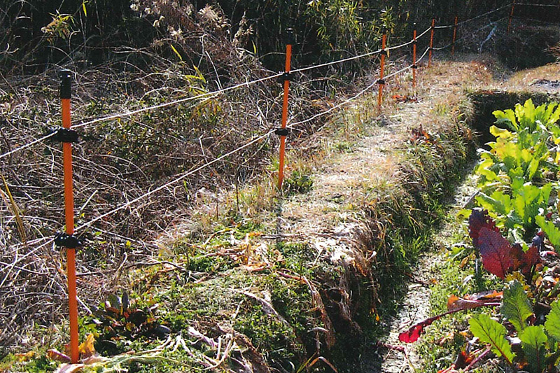 農薬・害虫(獣)対策