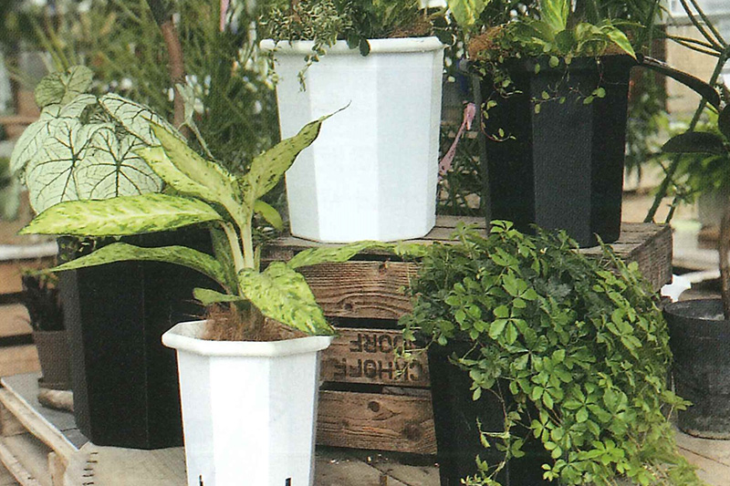 収穫収納袋・園芸用プラスチック製品